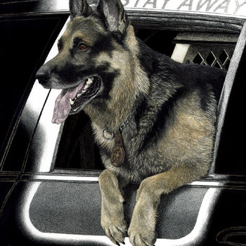 K9 Ronin, German Shepherd - Print on Metal