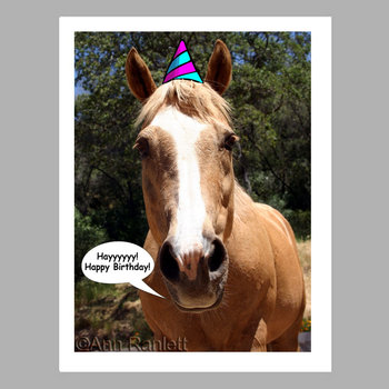 Birthday Horse - "Happy Birthday" Cards (5) - blank inside, with envelopes