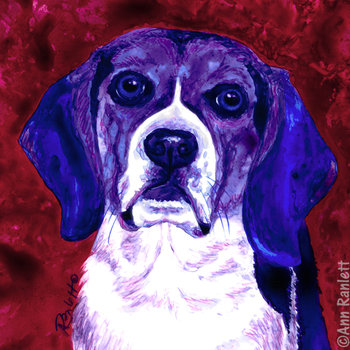 *SALE* "Blue" - Beagle, Original Watercolor Painting, Framed