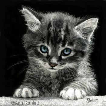 "Bright Future" Tabby Kitten - Print on Metal