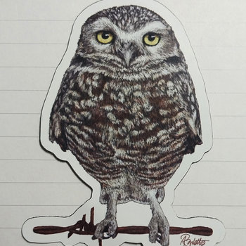 Burrowing Owl - 3" Magnet
