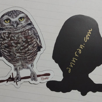 Burrowing Owl - 3" Magnet