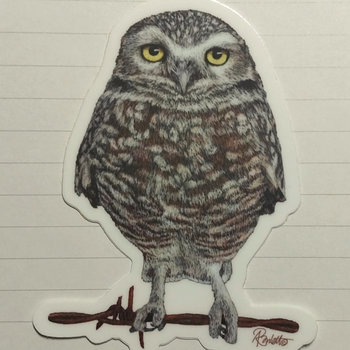 Burrowing Owl - 3" Sticker
