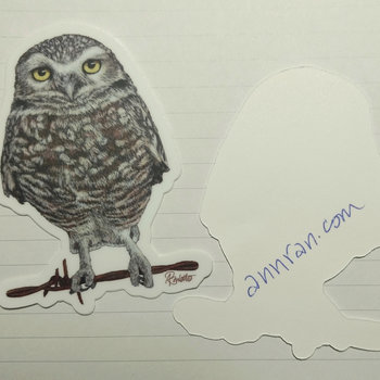 Burrowing Owl - 3" Sticker