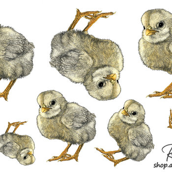 "Tough Chick", Sticker Sheet