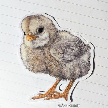 "Tough Chick" Sticker