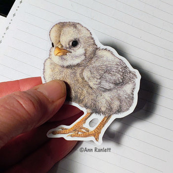 "Tough Chick" Sticker