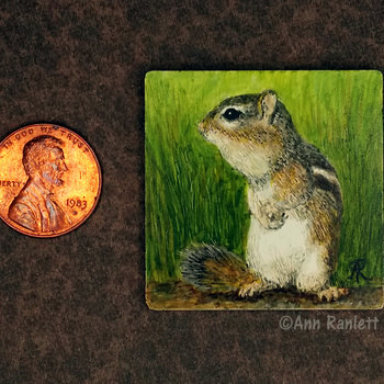 SOLD - Eastern Chipmunk - 1.5" Square Original Mini Drawing