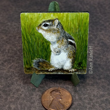 SOLD - Eastern Chipmunk - 1.5" Square Original Mini Drawing