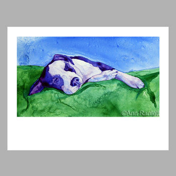 "Cloud 9" - Sleeping Dog Note Cards (5) - blank inside, with envelopes