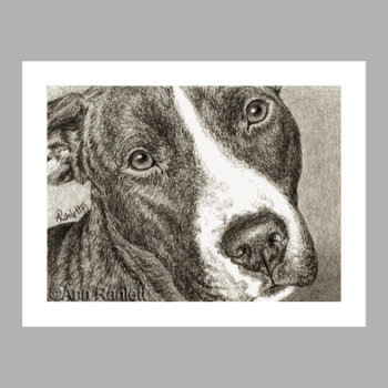 "Devotion" - Pit Bull Dog Note Cards (5) - blank inside, with envelopes