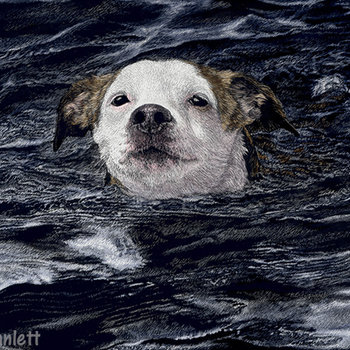 "Determination"- Swimming Bully Mix Dog - Print on Metal