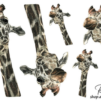 "Chin Up", Giraffe Sticker Sheet