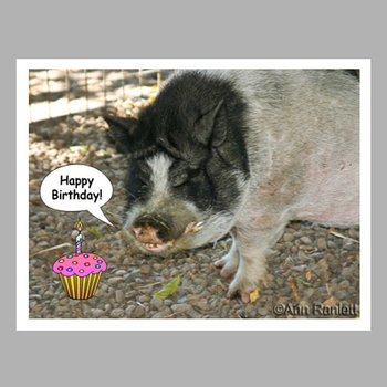 Birthday Pig - "Happy Birthday" Cards (5) - blank inside, with envelopes