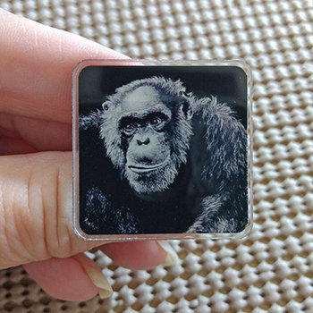 Jacob - Chimpanzee - 1" Square Pin