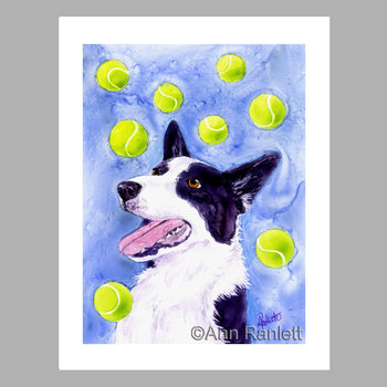"Magpie's Gold" - Border Collie Note Cards (5) - blank inside, with envelopes