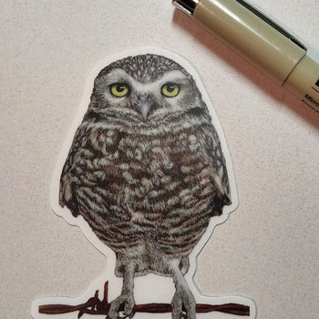 Burrowing Owl - 3" Sticker - Clear Outline