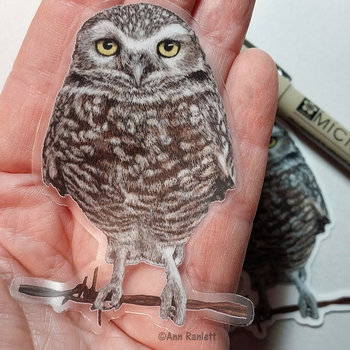 Burrowing Owl - 3" Sticker - Clear Outline