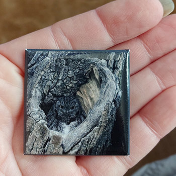"Heart of San Pedro" - Screech Owl - 1.5" Square Pin