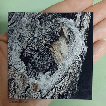 Screech Owl in Tree - 3" Square Magnet
