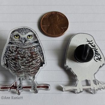 Burrowing Owl - 1.5" Acrylic Pin