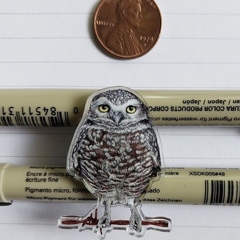 Burrowing Owl - 1.5" Acrylic Pin