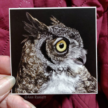 Great-horned Owl - 3" Square Sticker
