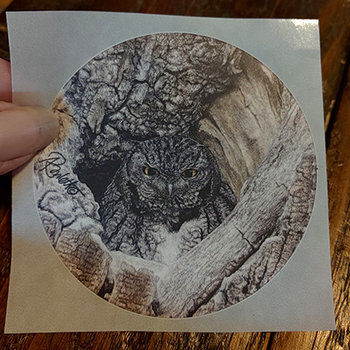 Screech Owl in Tree - 3" Round Sticker