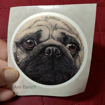 Pug Face - 3" Round Sticker