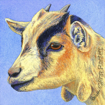 goat art