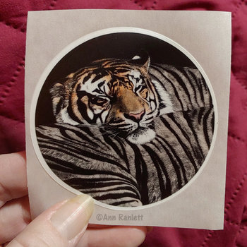 Sumatran Tiger - 3" Round Sticker